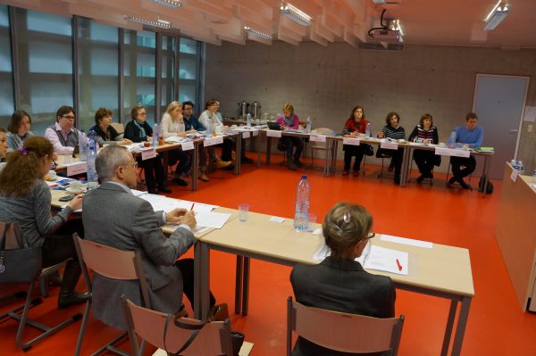 Стажировка преподавателей английского языка в Колледже Европы, г.Брюгге (январь-февраль 2013)